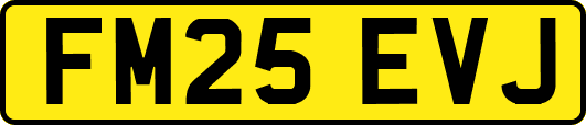 FM25EVJ
