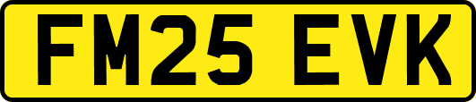 FM25EVK