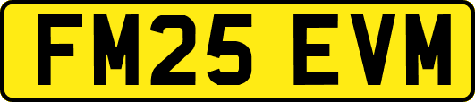 FM25EVM