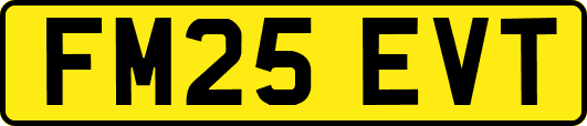 FM25EVT