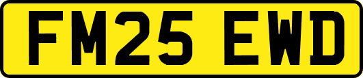 FM25EWD
