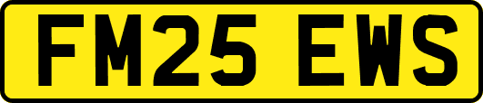 FM25EWS