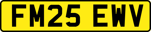 FM25EWV