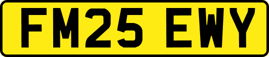 FM25EWY