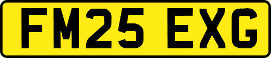 FM25EXG