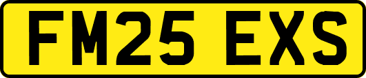 FM25EXS