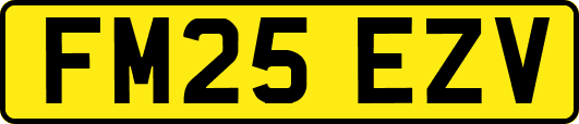 FM25EZV