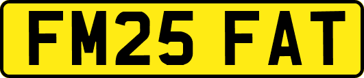 FM25FAT
