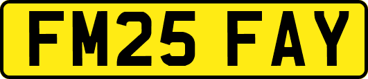 FM25FAY