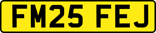 FM25FEJ