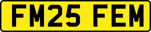 FM25FEM