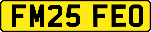 FM25FEO