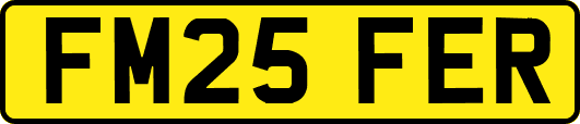 FM25FER