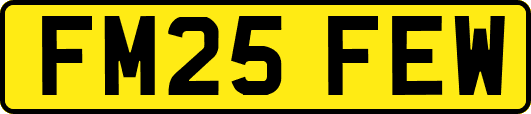 FM25FEW