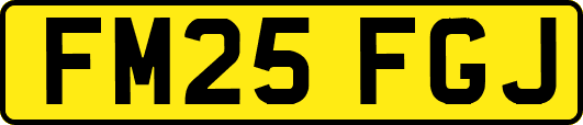 FM25FGJ