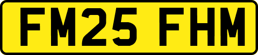 FM25FHM