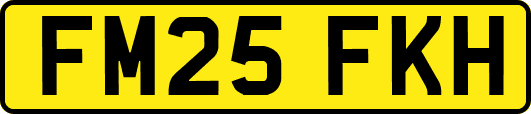 FM25FKH