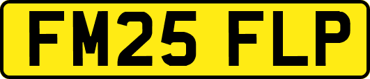 FM25FLP