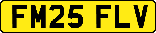 FM25FLV