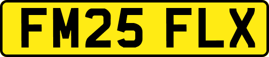 FM25FLX