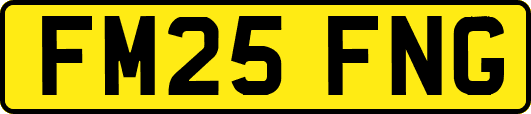 FM25FNG