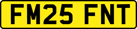 FM25FNT