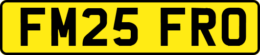 FM25FRO