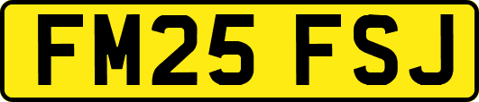 FM25FSJ