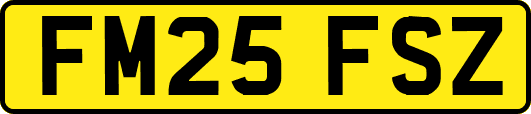 FM25FSZ