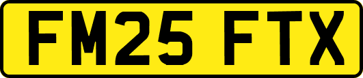FM25FTX