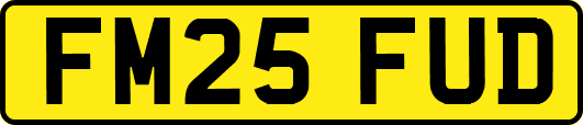 FM25FUD