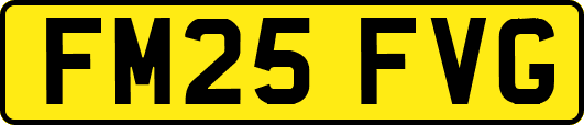 FM25FVG