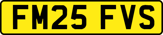 FM25FVS