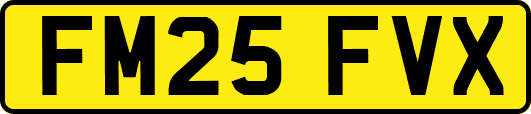 FM25FVX