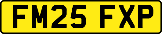 FM25FXP