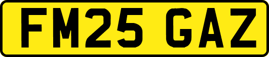 FM25GAZ
