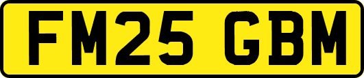FM25GBM