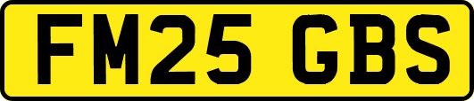 FM25GBS