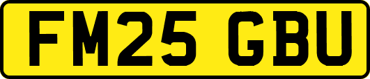 FM25GBU