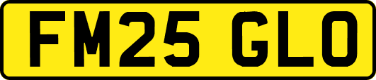 FM25GLO