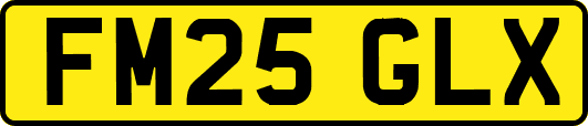 FM25GLX