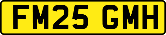 FM25GMH