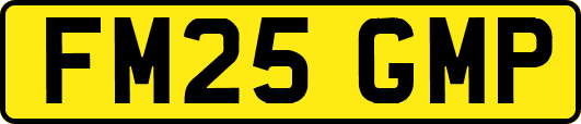 FM25GMP