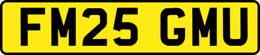 FM25GMU
