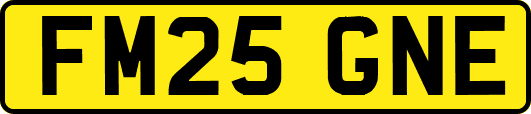 FM25GNE