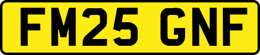FM25GNF