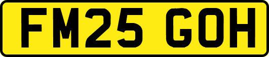 FM25GOH