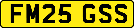 FM25GSS