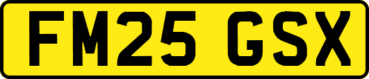 FM25GSX