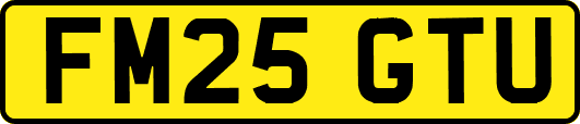 FM25GTU